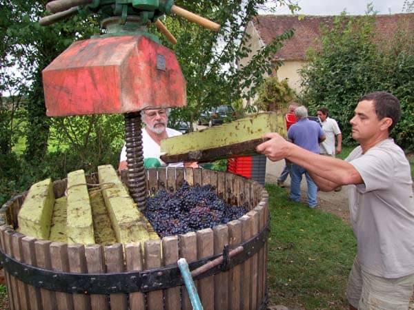 Joigny Vineyard